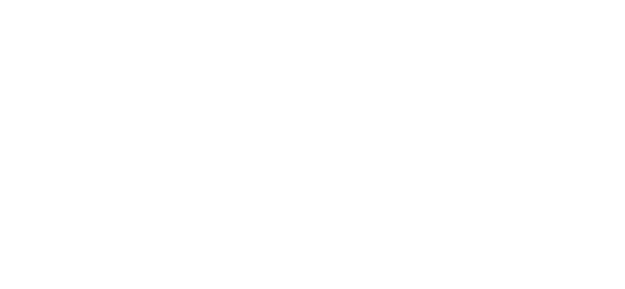 VVHA Global Logo